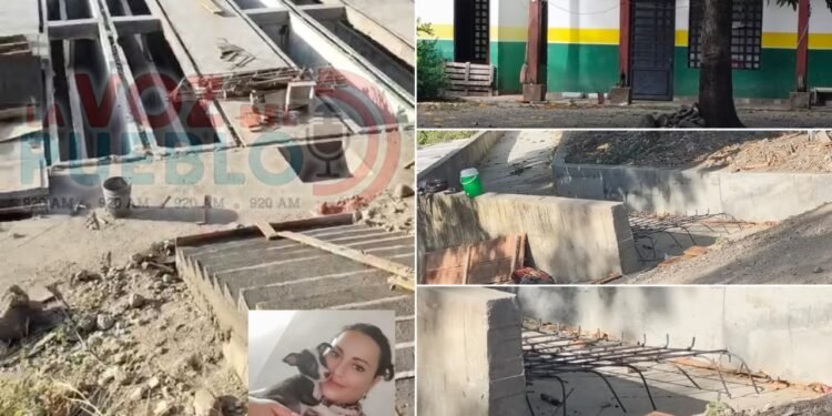 Animalistas denuncian presunta invasión del albergue municipal de El Espinal por obras de la PTAR