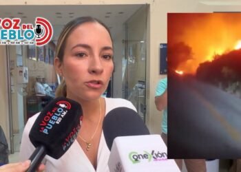 “Más de 1.000 hectáreas ya han sido consumidas por el fuego en el Tolima”: Gestión del Riesgo