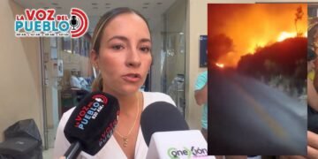 “Más de 1.000 hectáreas ya han sido consumidas por el fuego en el Tolima”: Gestión del Riesgo