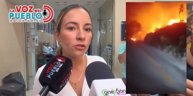 “Más de 1.000 hectáreas ya han sido consumidas por el fuego en el Tolima”: Gestión del Riesgo