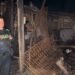 Más de 1.170 emergencias fueron atendidas en Ibagué durante el primer semestre de 2026