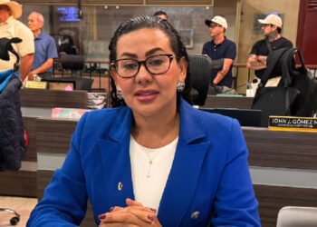 Concejal Sandra Varón pide acelerar aplicación de la Ley Antirruido en Ibagué
