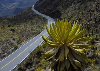 “No se detengan en la vía”: Tolima refuerza llamado para proteger el ecosistema de Los Nevados