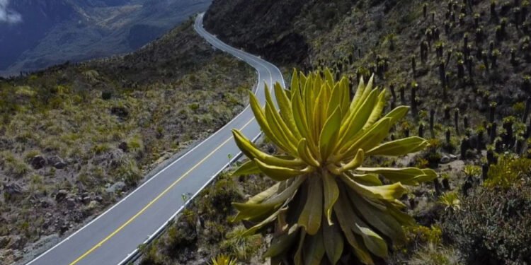 “No se detengan en la vía”: Tolima refuerza llamado para proteger el ecosistema de Los Nevados