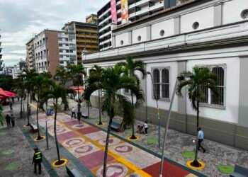Desempleo bajó e Ibagué se alejó de las ciudades con mayor informalidad laboral