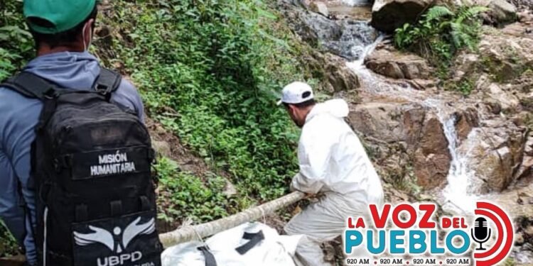 Hallan cinco cuerpos de personas desaparecidas en zona de páramo de Rioblanco