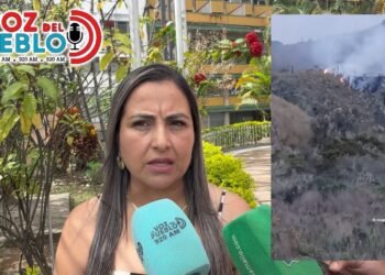 “Es una noticia que circula en redes, pero no está confirmada”: alcaldesa de Santa Isabel sobre supuesto incendio en el páramo