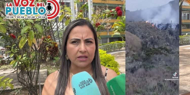 “Es una noticia que circula en redes, pero no está confirmada”: alcaldesa de Santa Isabel sobre supuesto incendio en el páramo