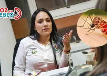 ¡Incrementó el dengue en el Tolima! Ya van más de 1.800 casos; Ibagué concentra la mayor cifra