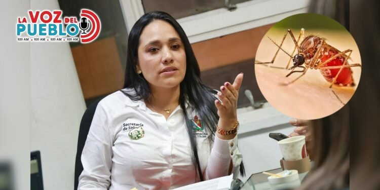 ¡Incrementó el dengue en el Tolima! Ya van más de 1.800 casos; Ibagué concentra la mayor cifra
