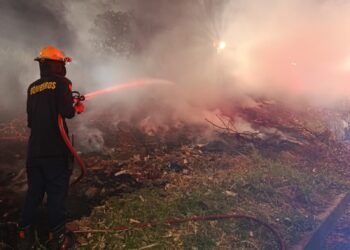 Bomberos de Ibagué atendieron 11 incendios forestales en un solo día