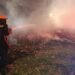 Bomberos de Ibagué atendieron 11 incendios forestales en un solo día