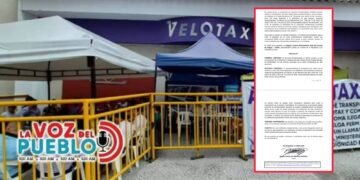 Tutela obliga a la SuperTransporte regresar a Diego Amaya Montejo a la gerencia de Velotax