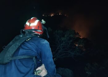 Incendio forestal en Gualanday fue controlado y las autoridades mantienen labores de extinción