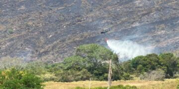 Incendio forestal en Ibagué alcanza 120 hectáreas afectadas y continúa bajo monitoreo