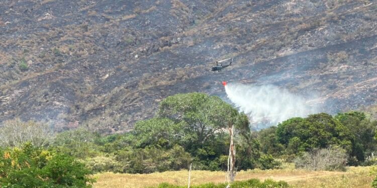 Incendio forestal en Ibagué alcanza 120 hectáreas afectadas y continúa bajo monitoreo