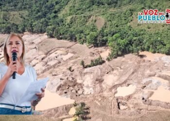 ¡Increíble! Ya son 491 hectáreas devastadas por minería ilegal en el sur del Tolima