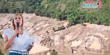 ¡Increíble! Ya son 491 hectáreas devastadas por minería ilegal en el sur del Tolima