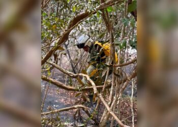 ¡El fuego no da tregua! 32 incendios forestales en una semana y tres municipios siguen con focos activos