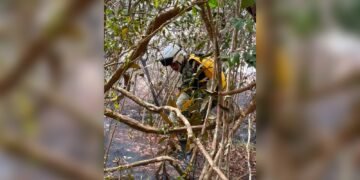 ¡El fuego no da tregua! 32 incendios forestales en una semana y tres municipios siguen con focos activos
