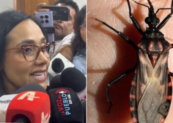 Coyaima, a un paso de hacer historia: será el primer municipio del Tolima libre del ‘pito’ transmisor del Chagas