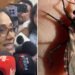 Coyaima, a un paso de hacer historia: será el primer municipio del Tolima libre del ‘pito’ transmisor del Chagas