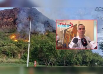 Más de 300 incendios forestales han golpeado al Tolima en 2026: Bomberos advierten que la mayoría fueron provocados