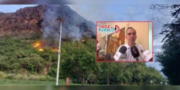 Más de 300 incendios forestales han golpeado al Tolima en 2026: Bomberos advierten que la mayoría fueron provocados