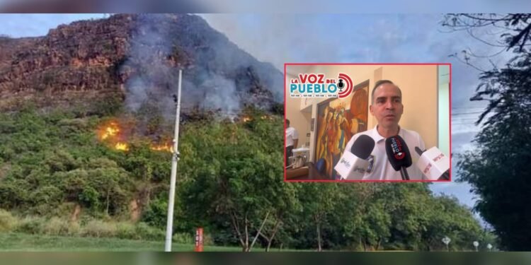 Más de 300 incendios forestales han golpeado al Tolima en 2026: Bomberos advierten que la mayoría fueron provocados