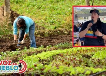 “Los campesinos estaban inconformes”: alcaldesa de Murillo cuestiona la socialización de las APPA