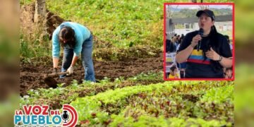 “Los campesinos estaban inconformes”: alcaldesa de Murillo cuestiona la socialización de las APPA