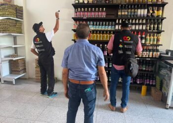 Maratónica ofensiva del GOAT en la Fiesta Patria deja más de 2.000 productos ilegales incautados y un establecimiento cerrado