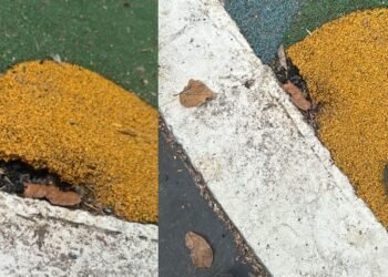Reportan actos de vandalismo y robo en el Parque Centenario de Ibagué