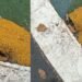 Reportan actos de vandalismo y robo en el Parque Centenario de Ibagué