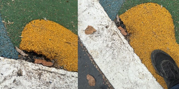Reportan actos de vandalismo y robo en el Parque Centenario de Ibagué