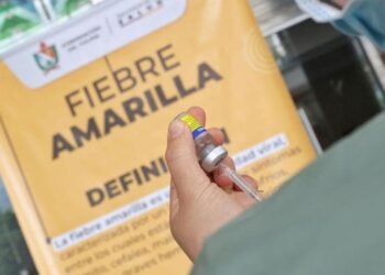 Tolima llega a 900.000 vacunados contra la fiebre amarilla, pero los contagios importados mantienen la preocupación