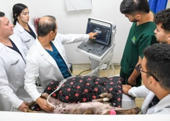 Medicina Veterinaria y Zootecnia de la Universidad Cooperativa de Colombia campus Ibagué obtiene la Acreditación en Alta Calidad