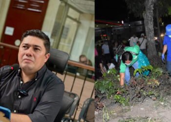 Concejal César Franco cuestiona reposición de zonas verdes tras el Festival Folclórico