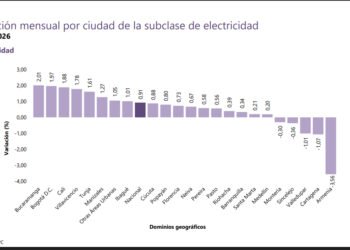 Ibagué registró una inflación anual de 6,02 % y se ubicó por debajo del promedio nacional