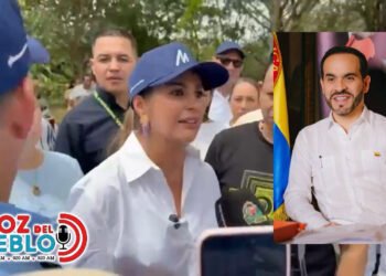 “Aeropuerto de Flandes, seguridad y energía”: solicitudes de la gobernadora del Tolima a de La Espriella