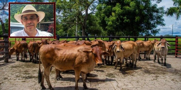 Alcaldía entregó lote para contrucción de Clínica de la Policía en el sector La Samaria de Ibagué