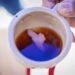 Alcalde de Chaparral invita a participar en la Feria Internacional del Café