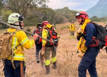 Continúan labores para controlar incendio forestal en el Alto de Gualanday