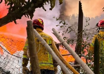 Incendio en la vereda Carrizales dejó ocho personas lesionadas y un felino con quemaduras