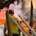 Incendio en la vereda Carrizales dejó ocho personas lesionadas y un felino con quemaduras