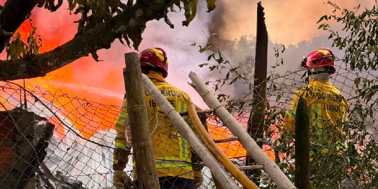 Incendio en la vereda Carrizales dejó ocho personas lesionadas y un felino con quemaduras