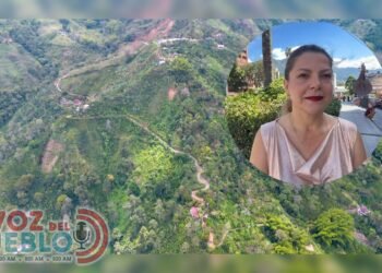 Sin pérdidas en cultivos y con vías en recuperación: balance positivo del Líbano frente al verano