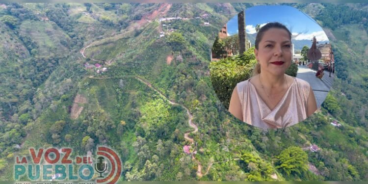 Sin pérdidas en cultivos y con vías en recuperación: balance positivo del Líbano frente al verano