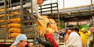 Más de 530 familias serán beneficiadas con mejoramientos de vivienda en Ibagué