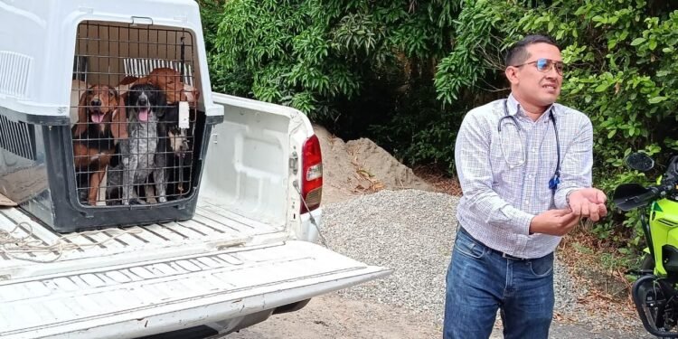 En el barrio Topacio rescataron cinco perros que estaban en deficientes condiciones